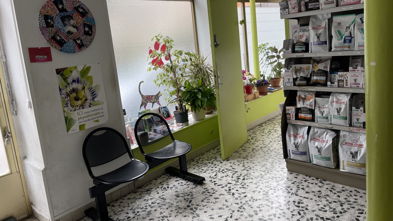Salle d'attente
