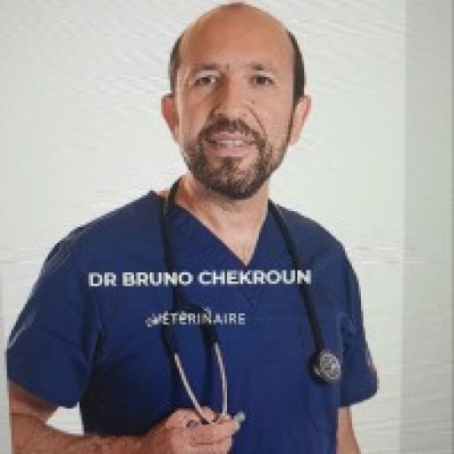 Bruno Chekroun